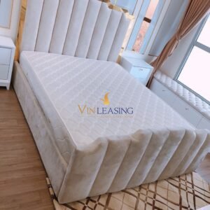 IMG 1992 - VIN Leasing