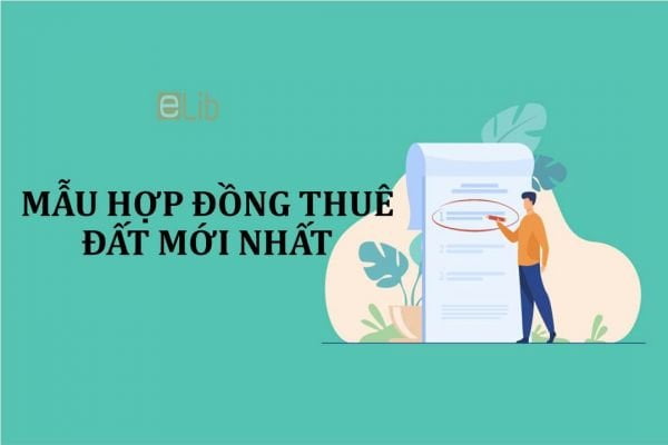 Hợp Đồng Thuê Đất Định Nghĩa, Quy Định và Lợi Ích 1 hop dong thue dat dinh nghia quy dinh va loi ich 64abb4a93ad16 - VIN Leasing